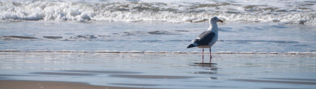 The Rule Of Thirds 4