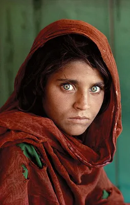 Sharbat_Gula 1